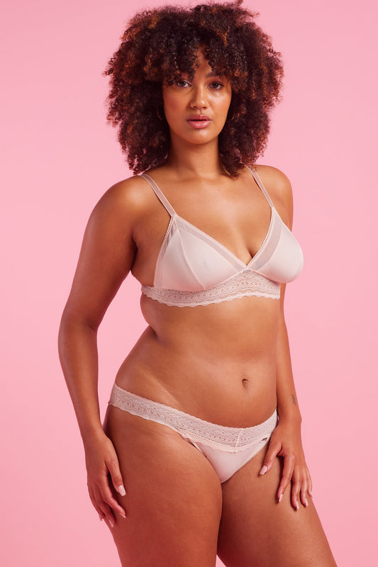Luxe Microfibre & Lace Taupe Bikini